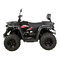 Quads & ATV P.Lindberg Linhai Quad M210 T3 EFI 2023 Bedienungsanleitung