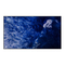 Monitore Sony BRAVIA FW-98BZ53L Referenz-Anleitung