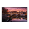 Samsung Smart Signage QBN Serie