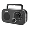 Radios nedis RDFM1320SI Kurzanleitung