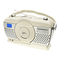 Dual RP 100