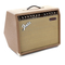 Verstärker für Musikinstrumente Fender Acoustasonic-30 Bedienungsanleitung