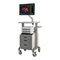 Medizinische Ausstattung Boston Scientific Rhythmia HDx Gebrauchsanweisung