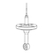 Endress+Hauser Indumax CLS50