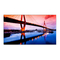 Monitore NEC MultiSync X463UN Bedienungsanleitung