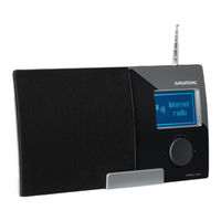 Grundig Cosmopolit 3F WEB Bedienungsanleitung