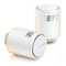 Thermostate Netatmo S+Arck Anleitung
