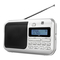 Radios Dual DAB 4 Bedienungsanleitung