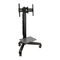 Regale und Aufbewahrungen Ergotron Neo-Flex Mobile Media Center LD Benutzerhandbuch