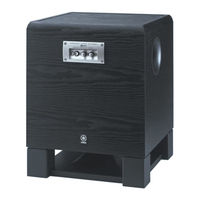 Yamaha YST-SW800 Bedienungsanleitung