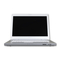Sony VAIO VGN-N31L-W