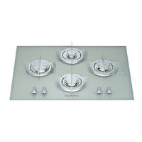 Ariston TQ 740 ES-Serie Handbuch