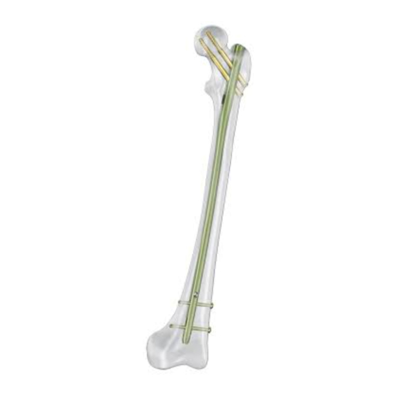 Depuy Synthes Expert A2FN Handbücher