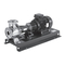Pumpen Xylem Lowara ESH Serie Installations- Betriebs Und Wartungshandbuch