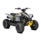 BRP CAN-AM Renegade 70 2023
