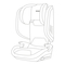 Autositze Thomashilfen Recaro Monza CFX Reha Gebrauchsanweisung