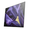 OLED-Fernseher Sony BRAVIA KD-65AF9 Referenz-Anleitung