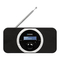 Radios Blaupunkt RXD 120 Bedienungsanleitung