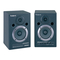 Roland DM-10 - Bedienungsanleitung für digitalen Stereo-Mikro-Monitor