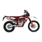 SWM RS 300 R 2019