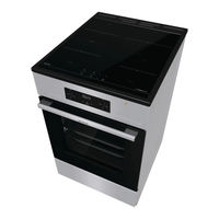 Gorenje GEIT5C61SPG Gebrauchsanweisung
