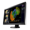 Monitore Eizo RadiForce RX650 Gebrauchsanweisung