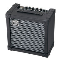 Roland CUBE-30X Bedienungsanleitung