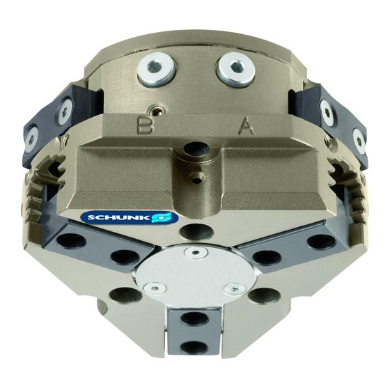 SCHUNK PZN Handbücher