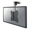Regale und Aufbewahrungen Newstar FPMA-C020BLACK Bedienungsanleitung