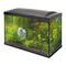 Aquarium SuperFish Start Serie Inbetriebnahme