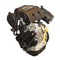 Motoren Lombardini LDW 492 DCI Automotive Werkstatt-Handbuch