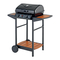Grills BBQ SUNNY Betriebs- Und Aufbauanleitung
