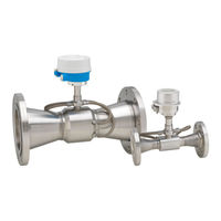Endress+Hauser Proline Prosonic Flow E 100 Technische Information