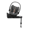 Autositze CYBEX Gold BASE G Kurzanleitung