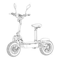 Miweba eFlux FREERIDE X2 HUB Original Bedienungsanleitung