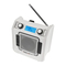 Radios PERFECTPRO RockSolid Bedienungsanleitung