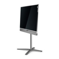 Loewe Individual 46 Montageanleitung