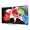 OLED-Fernseher LG EC93 Serie Benutzerhandbuch
