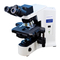Mikroskope Olympus BX41 Bedienungsanleitung