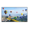 Monitore Panasonic TH-98SQ1W Bedienungsanleitung