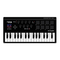 Synthesizer M-Audio Axiom AIR Mini 32 Benutzerhandbuch