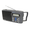 Tragbares Radio Grundig OCEAN BOY 400 Betriebsanleitung