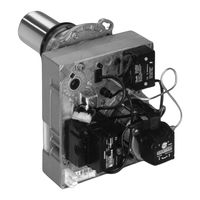 Viessmann Vitoflame 300 VHG Serviceanleitung