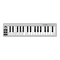 Tastaturen M-Audio Keystation Mini 32 Benutzerhandbuch