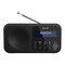 Radios Sharp DR-P421 Bedienungsanleitung