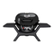 Grills Outdoorchef P-420 G Bedienungsanleitung