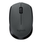 Logitech M171