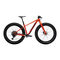 Trek 2023 Farley Carbon 9.6