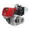 Riello RS 1000/EV FGR