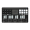 Korg nanoKEY Studio (EFGSJ 4) Handbuch